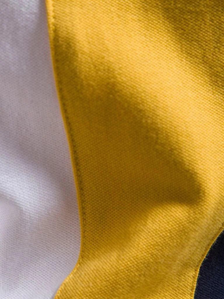 Royal Crest Polo | Savile & Co.