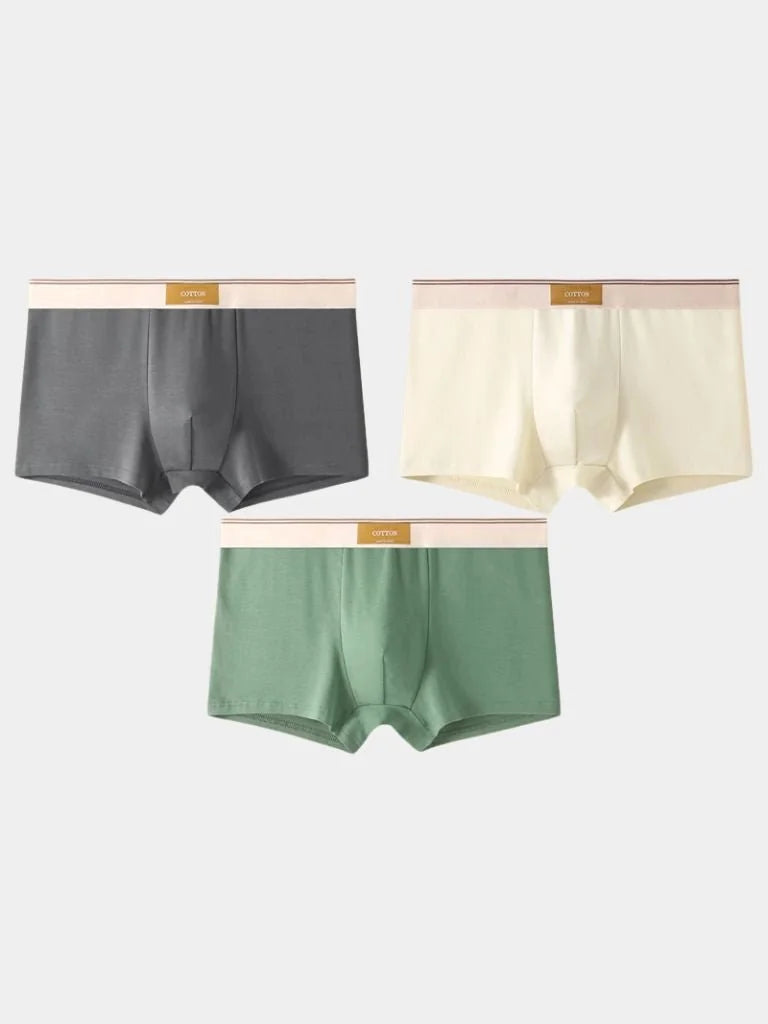 Savile Form Boxer Brief Set | Savile & Co.