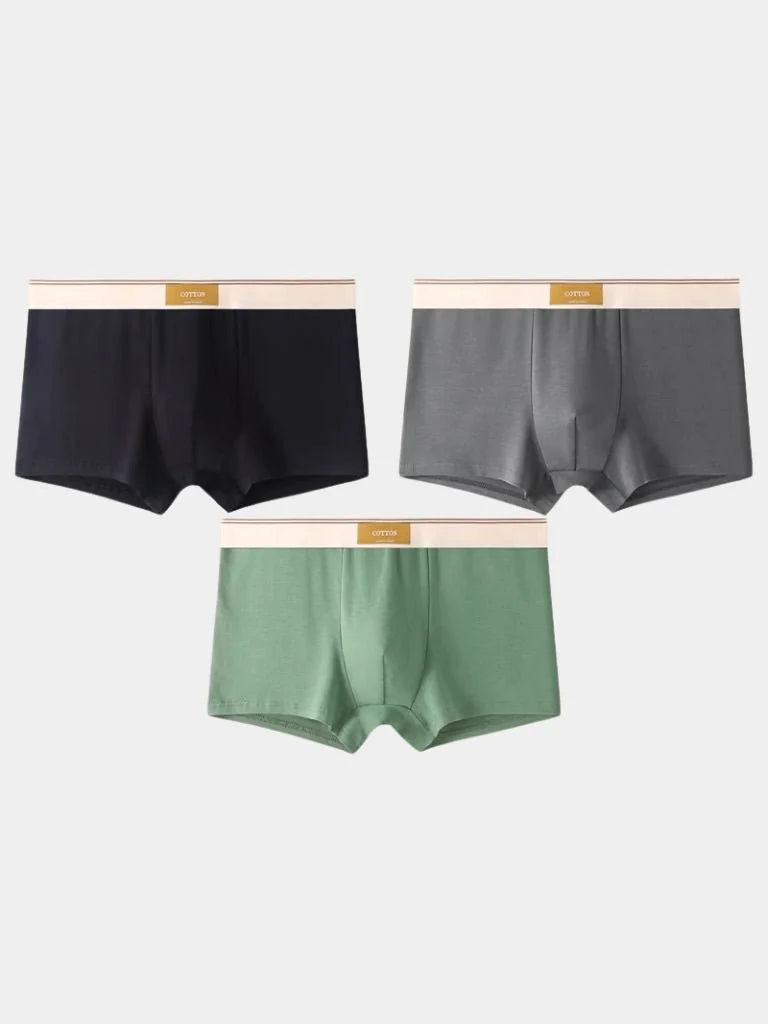 Savile Form Boxer Brief Set | Savile & Co.